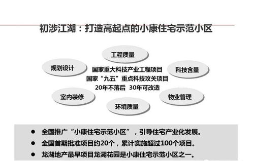 龍湖企業(yè)運(yùn)營(yíng)精細(xì)化管理的信息咨詢服務(wù)